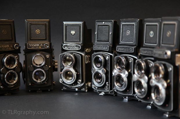 TLR Group - TLRgraphy